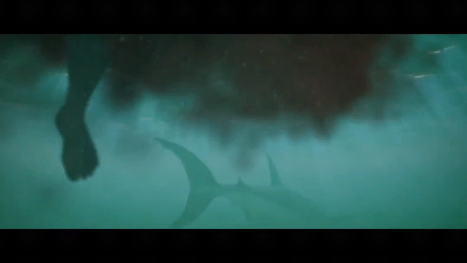 鲨鱼季节剧照的剧照