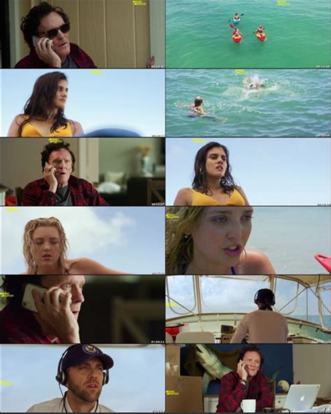 鲨鱼季节剧照的剧照