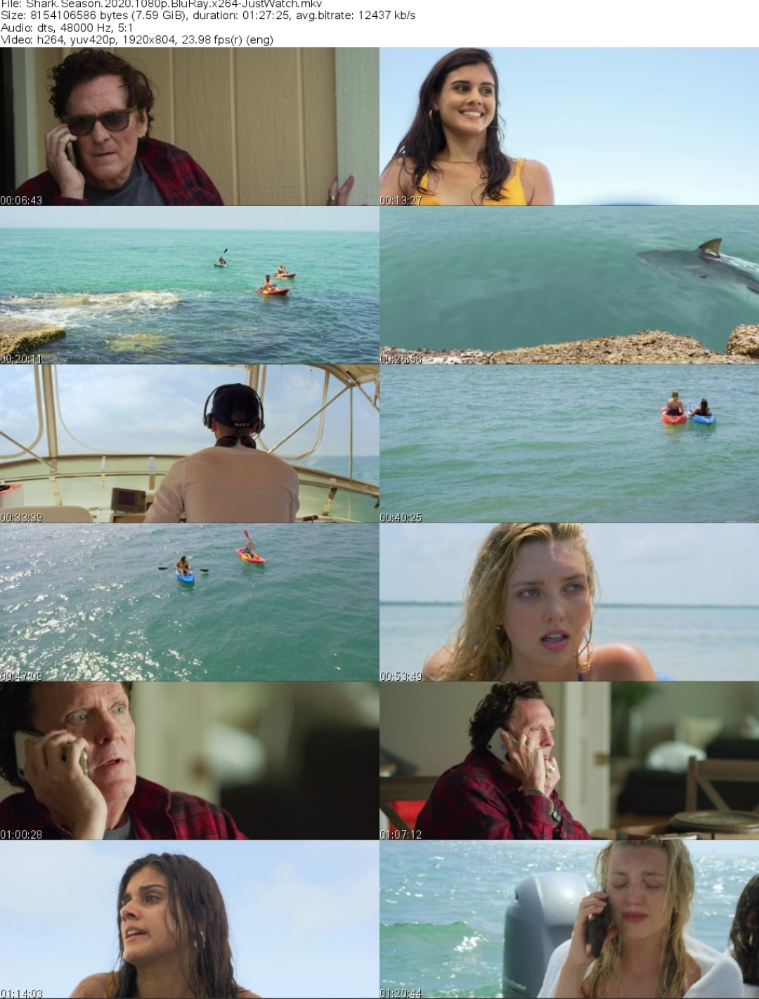 鲨鱼季节剧照的剧照