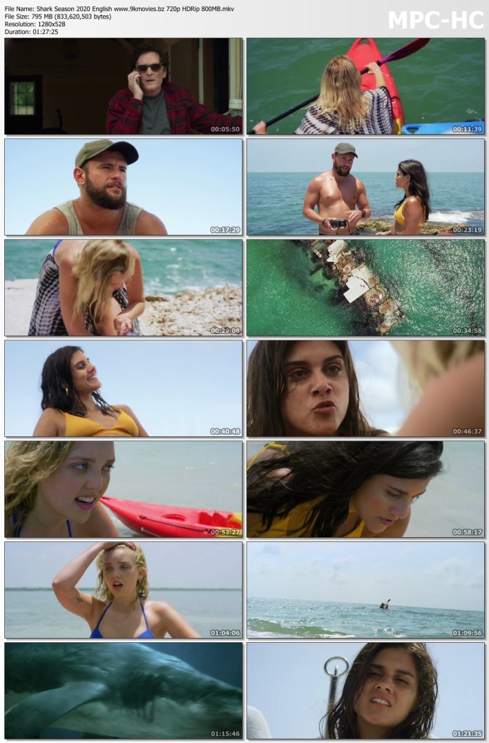 鲨鱼季节剧照的剧照