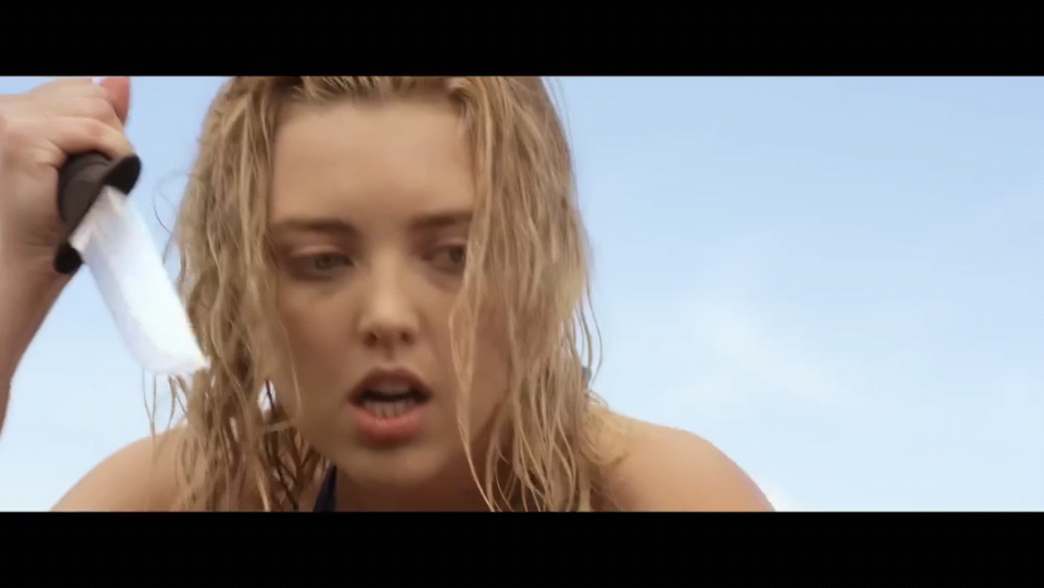 鲨鱼季节剧照的剧照