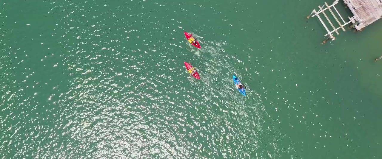 鲨鱼季节剧照的剧照