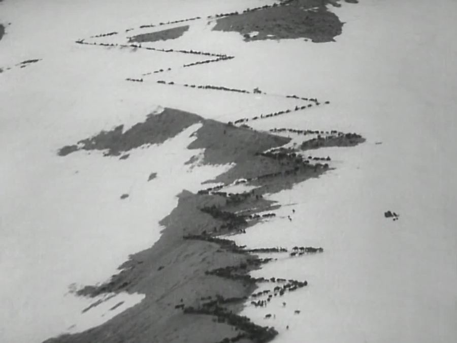 青草：一个民族的生活之战剧照的剧照