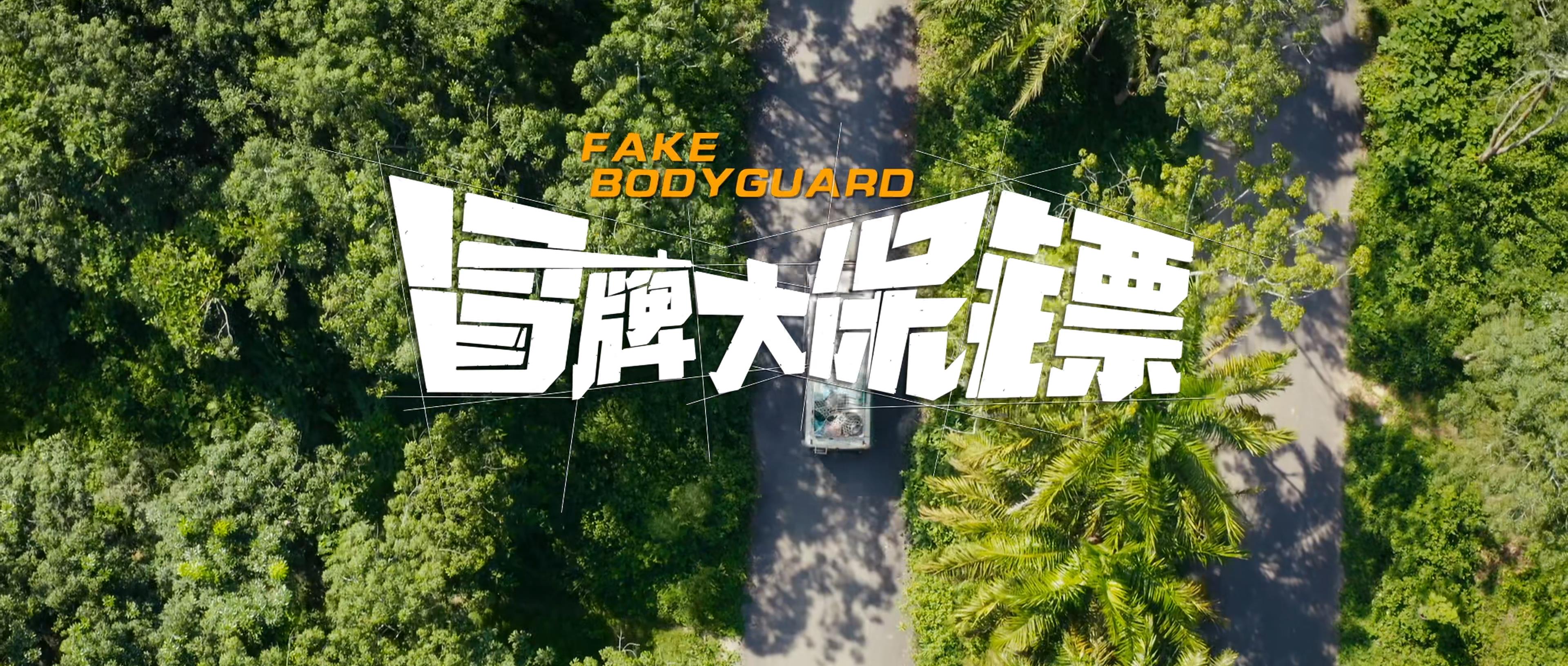 冒牌大保镖剧照的剧照