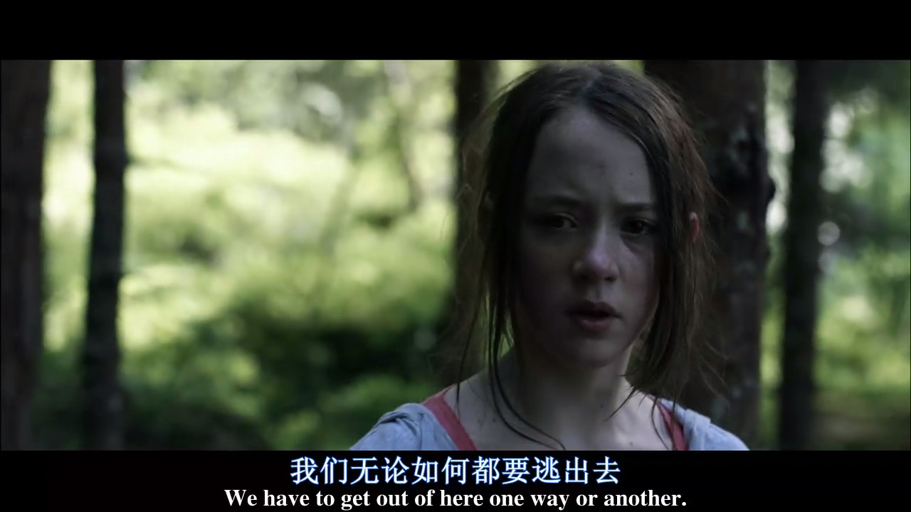 神秘仙境剧照的剧照