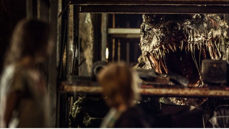 神秘仙境剧照的剧照