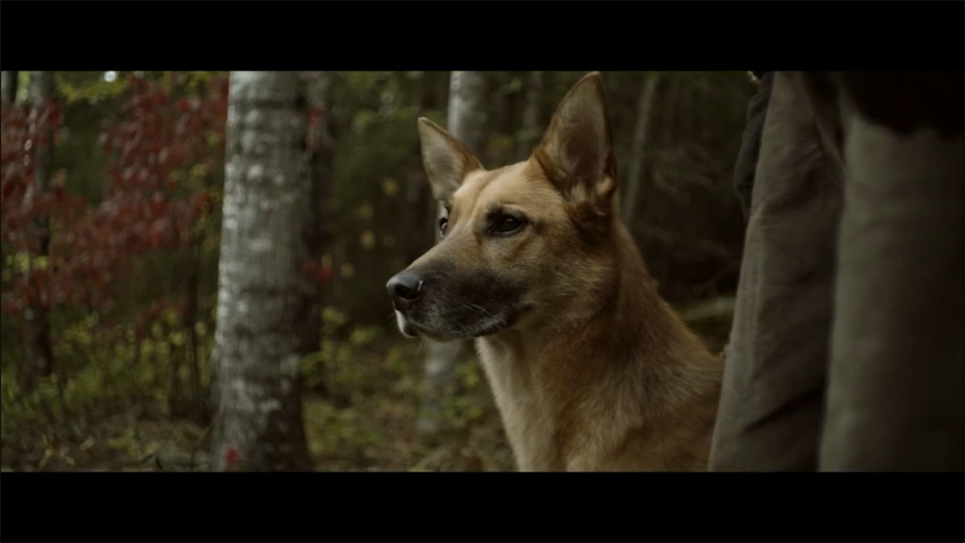 人狼恶剧照的剧照