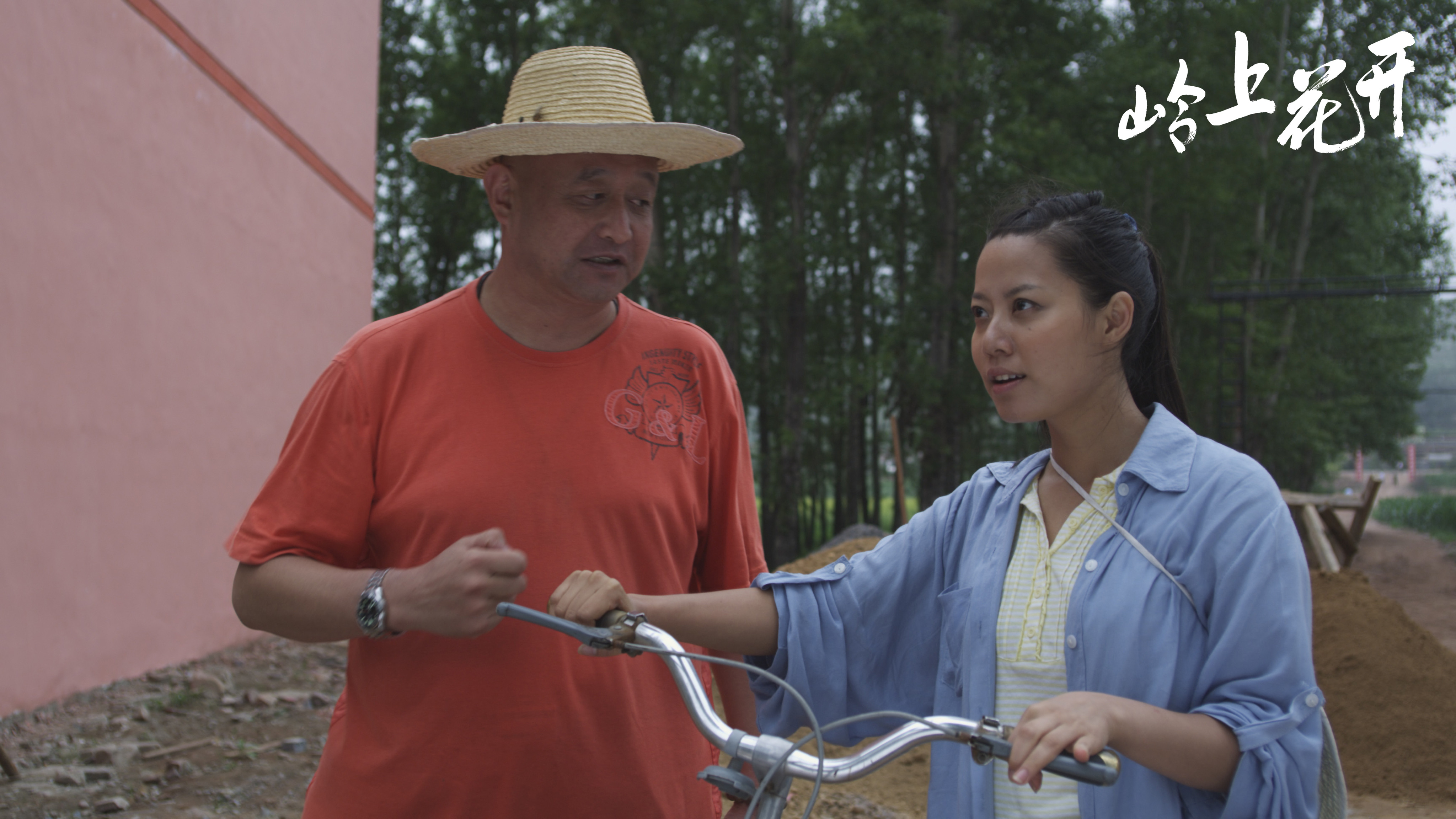 岭上花开剧照的剧照