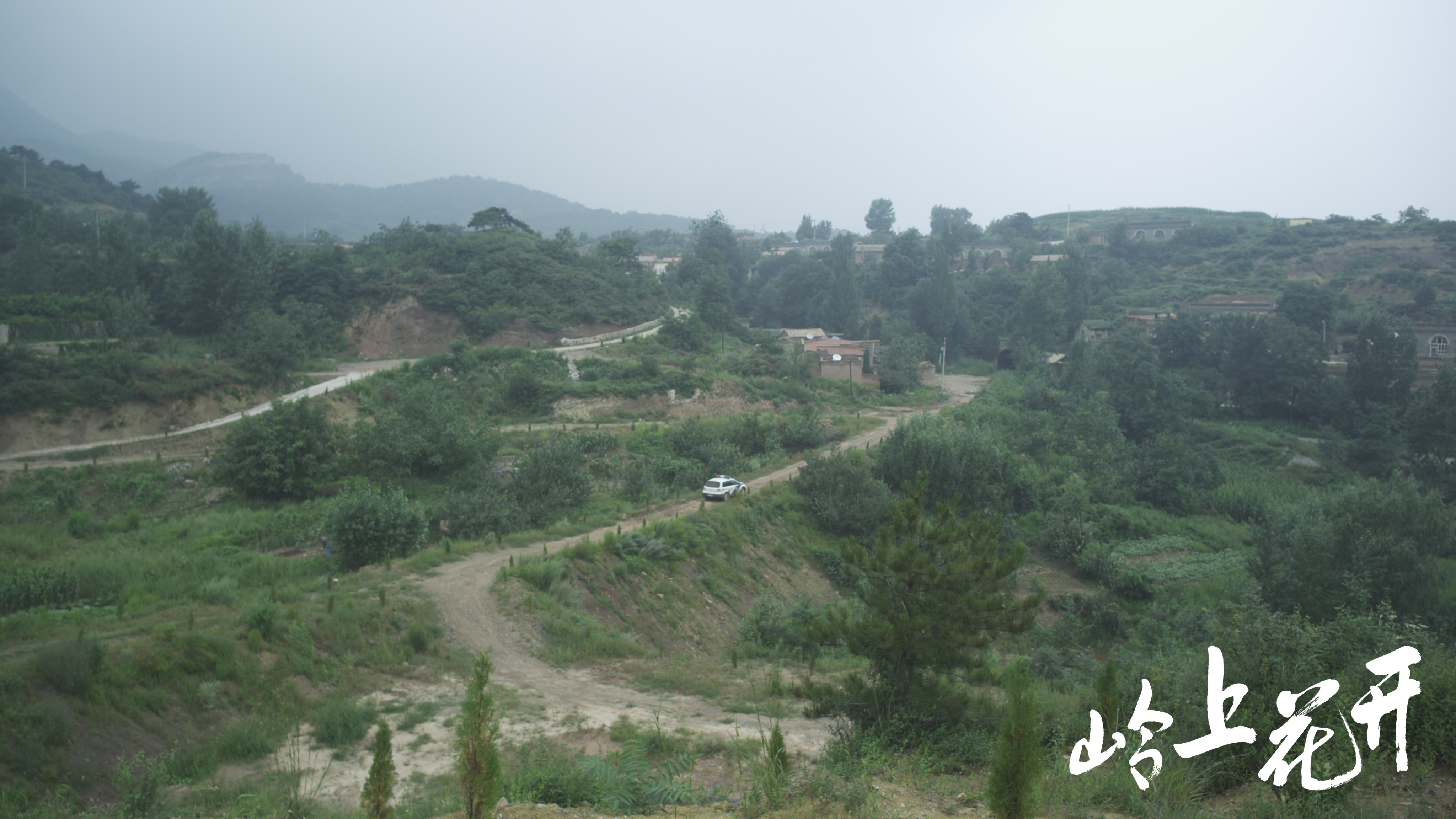 岭上花开剧照的剧照