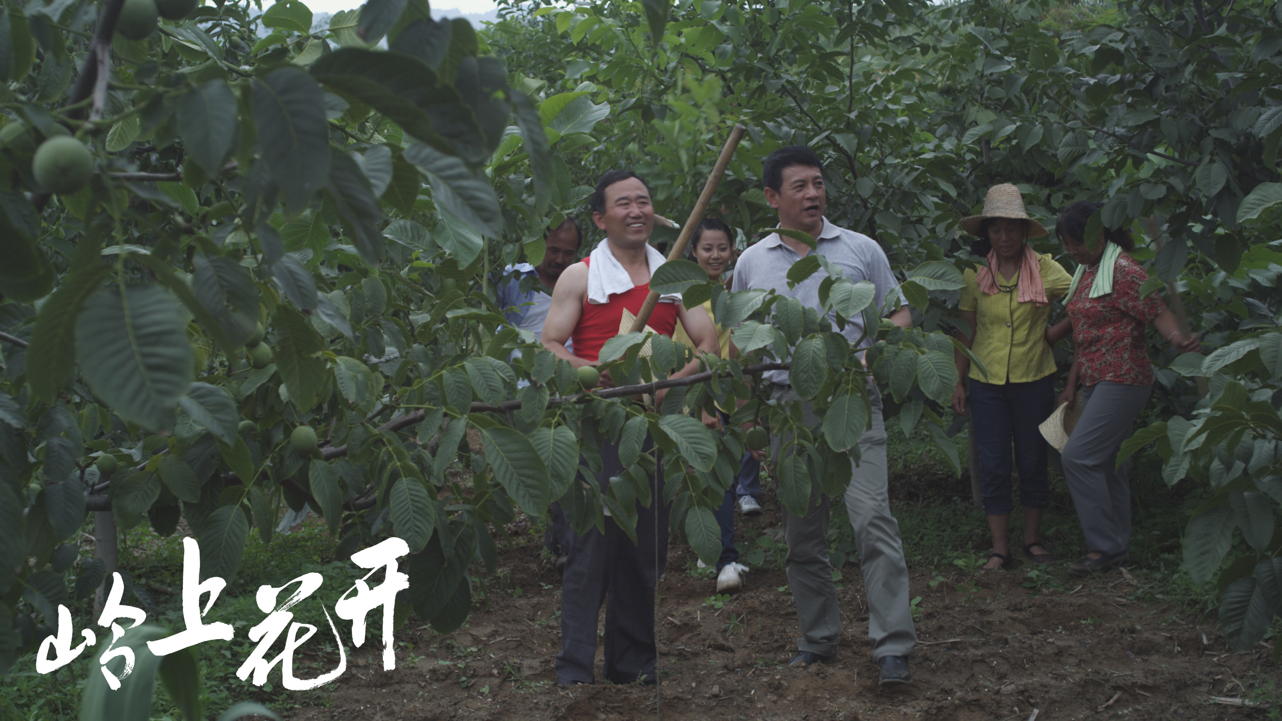 岭上花开剧照的剧照