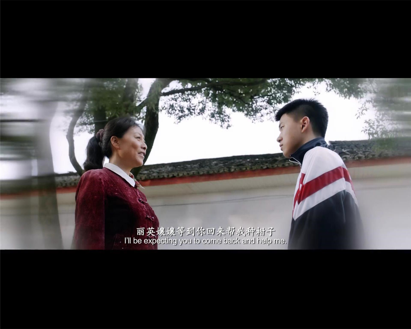 家园剧照的剧照