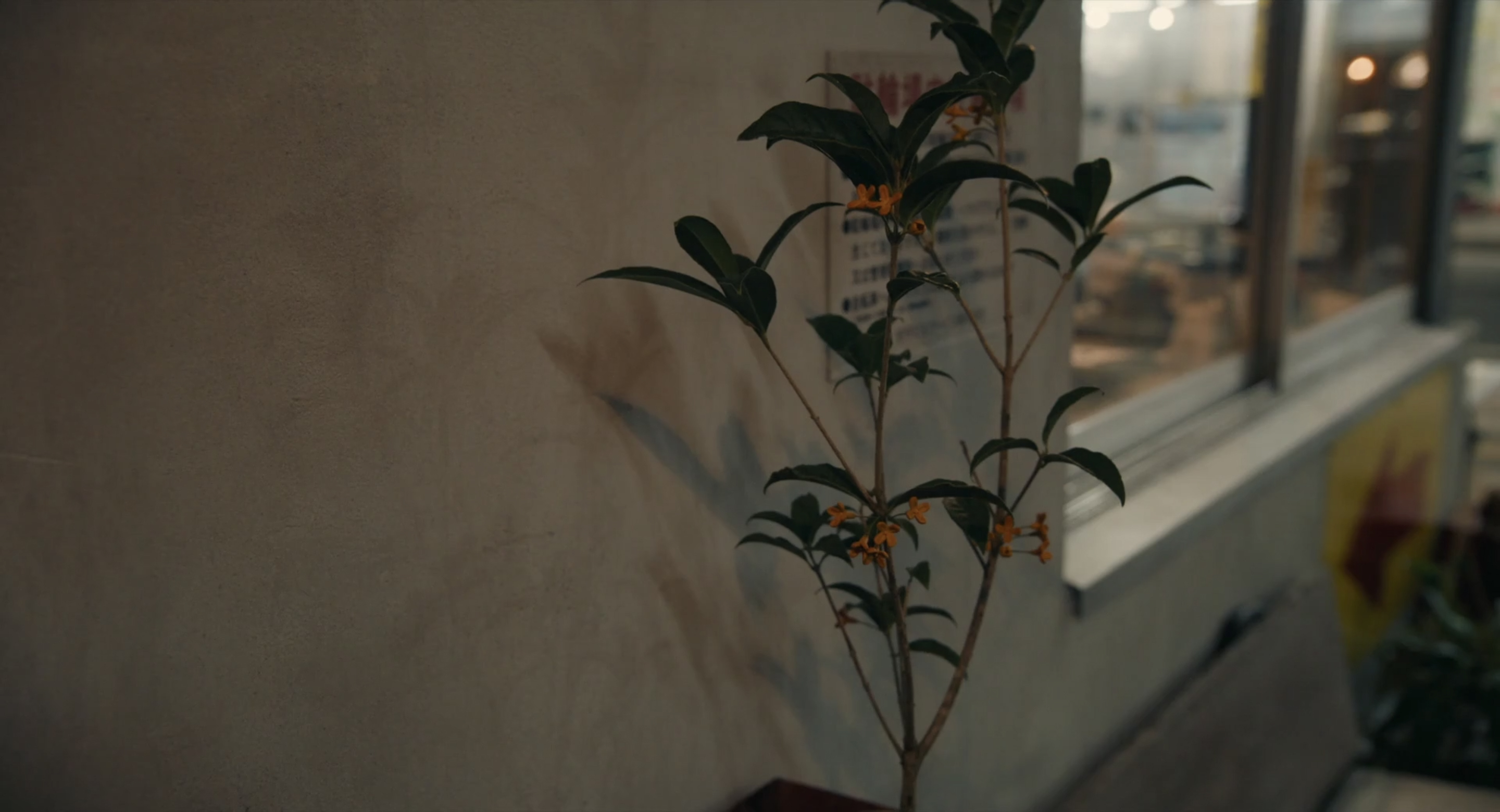 你的眼睛在追问剧照的剧照