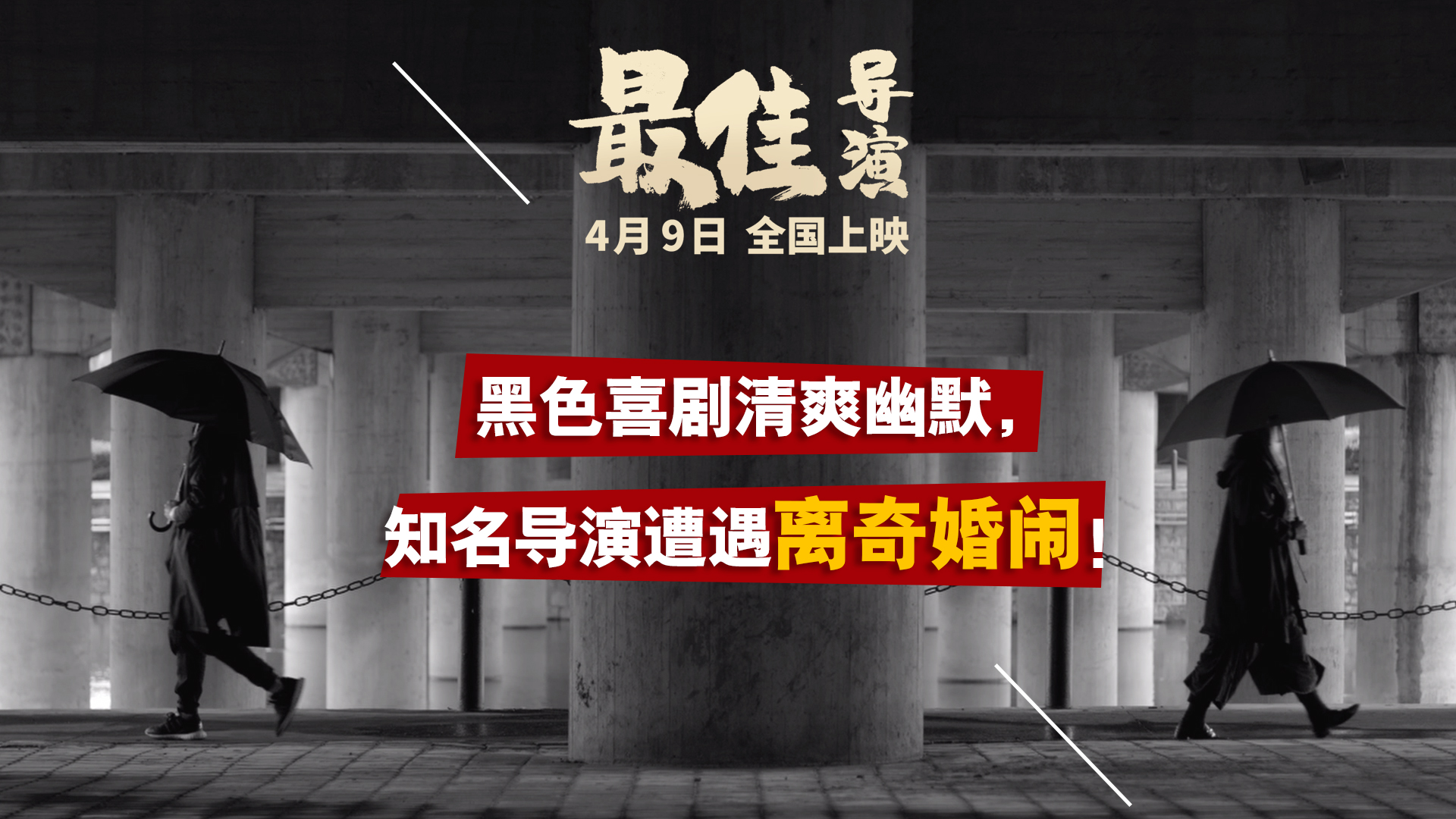 最佳导演剧照的剧照