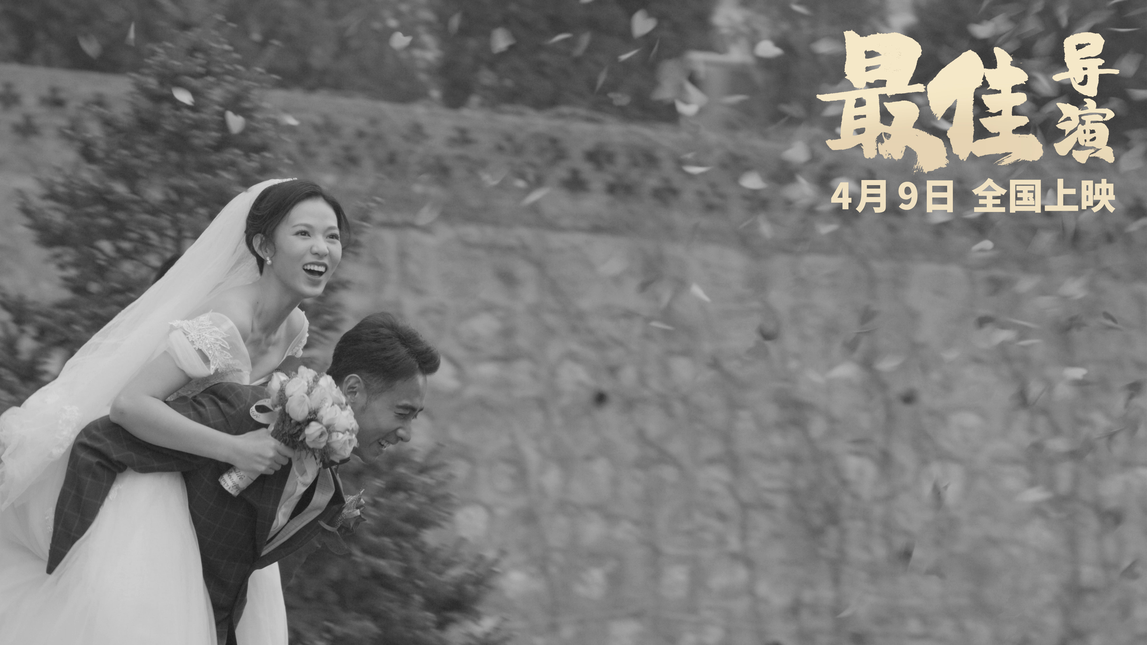 最佳导演剧照的剧照