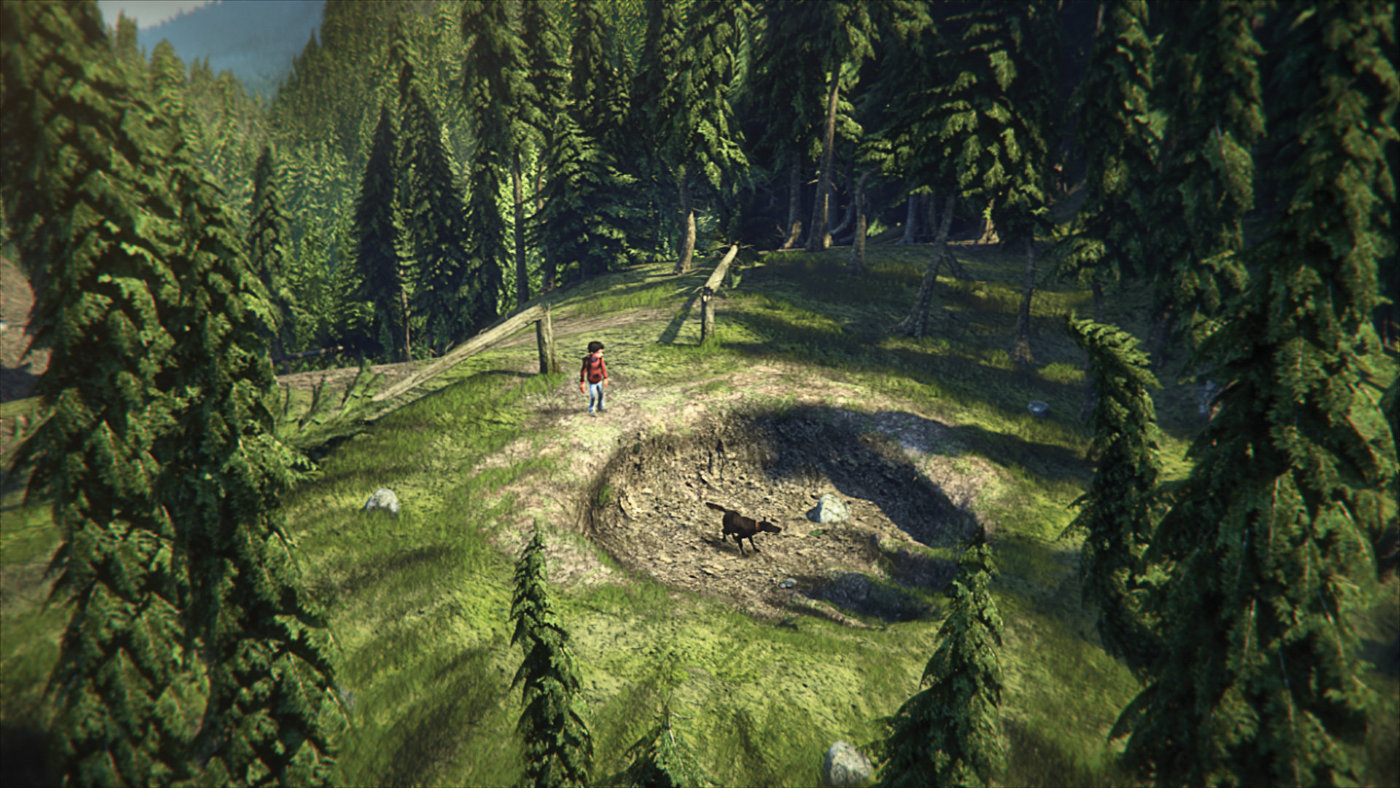 森林里的熊先生剧照的剧照