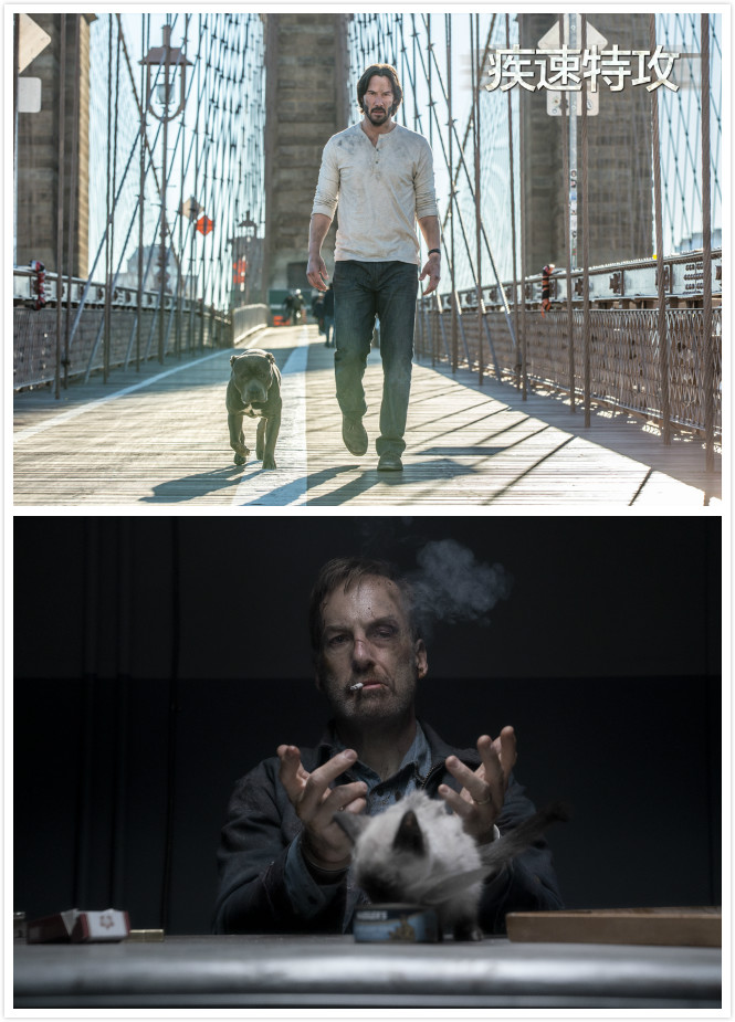 小人物剧照的剧照