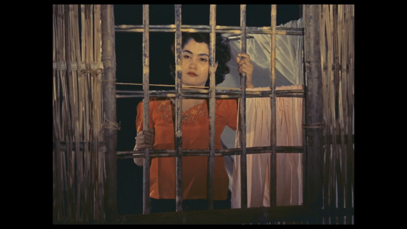 桑蒂-维娜剧照的剧照