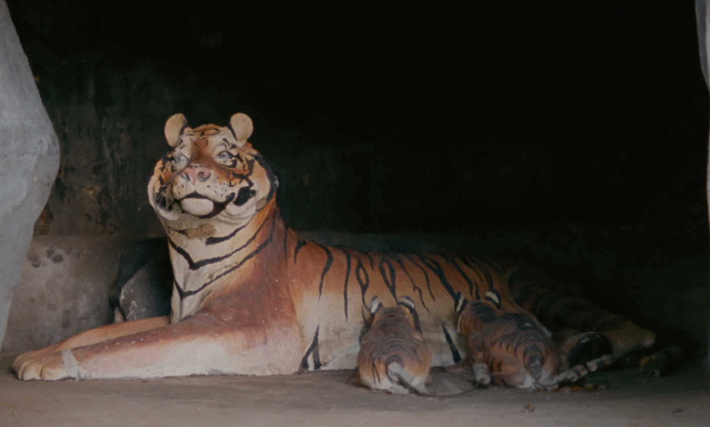 佛历2562年的甲米剧照的剧照