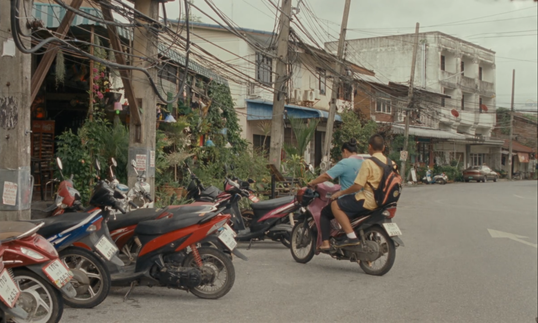 佛历2562年的甲米剧照的剧照