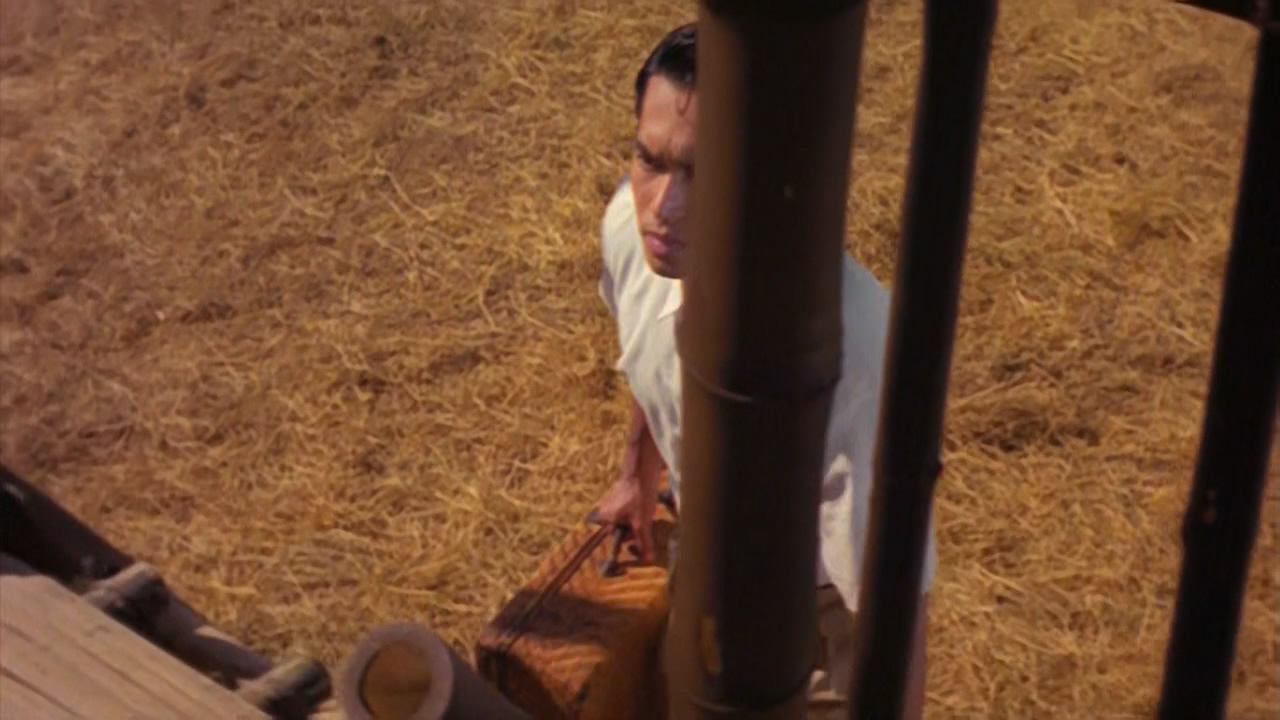 黑虎的眼泪剧照的剧照