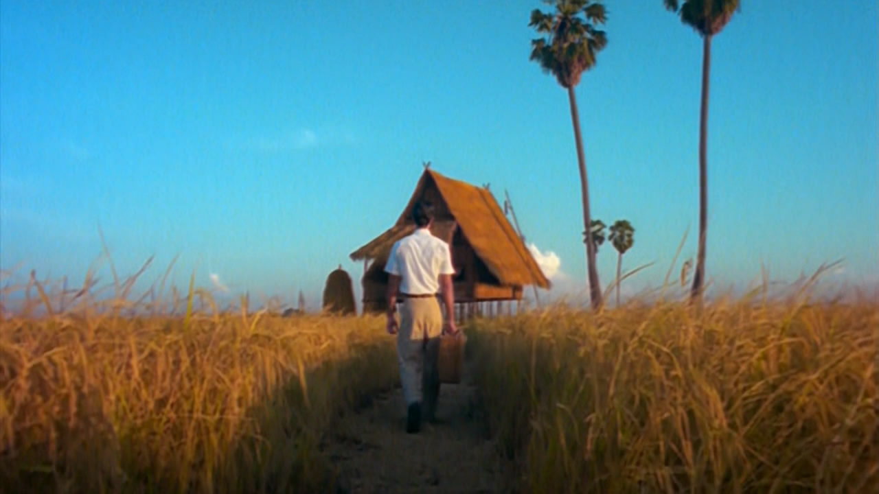 黑虎的眼泪剧照的剧照