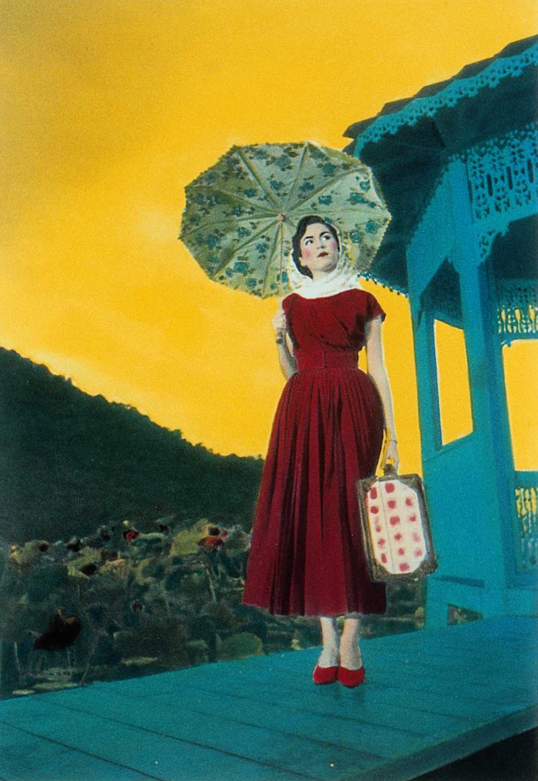 黑虎的眼泪剧照的剧照