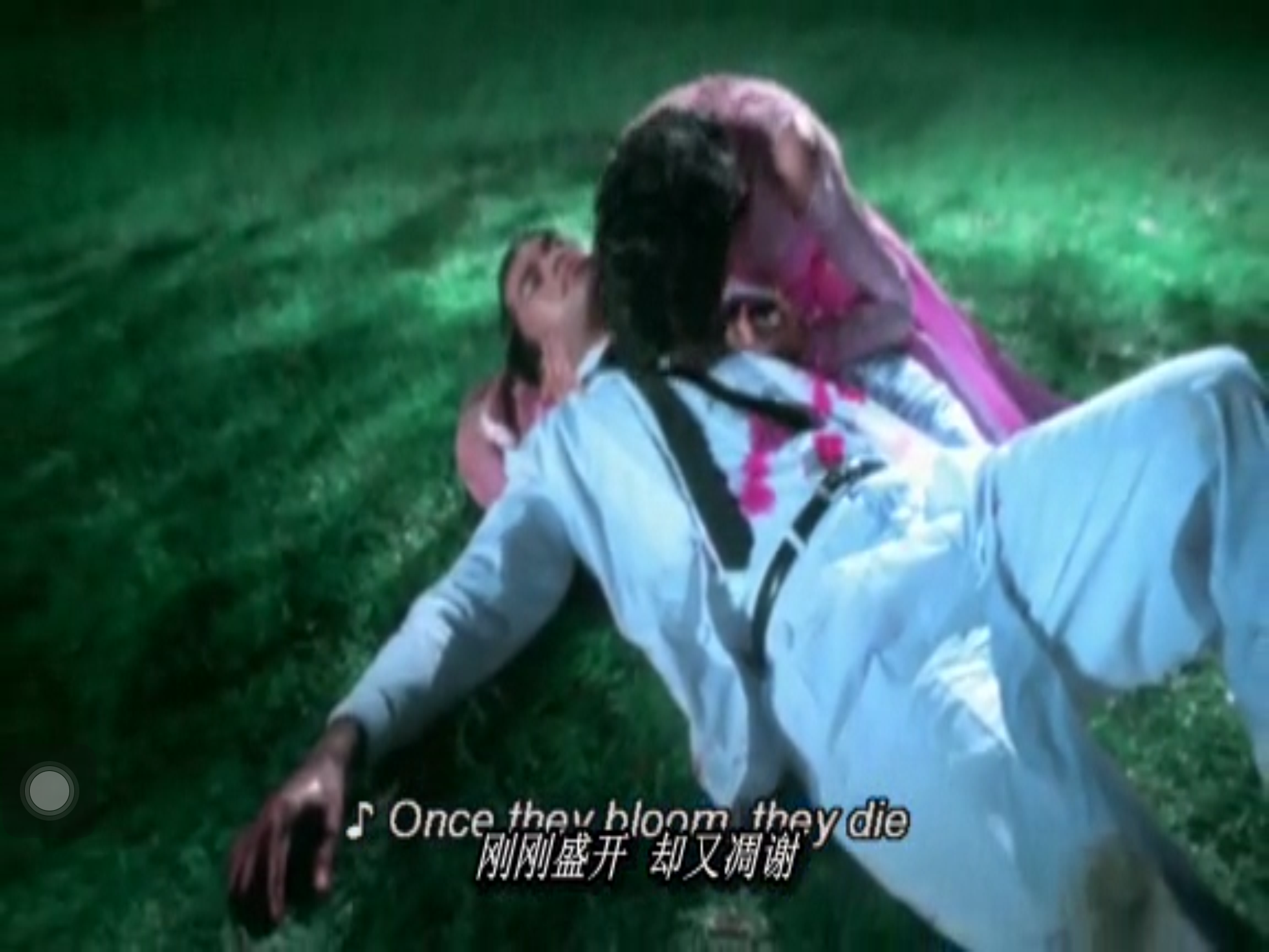 黑虎的眼泪剧照的剧照