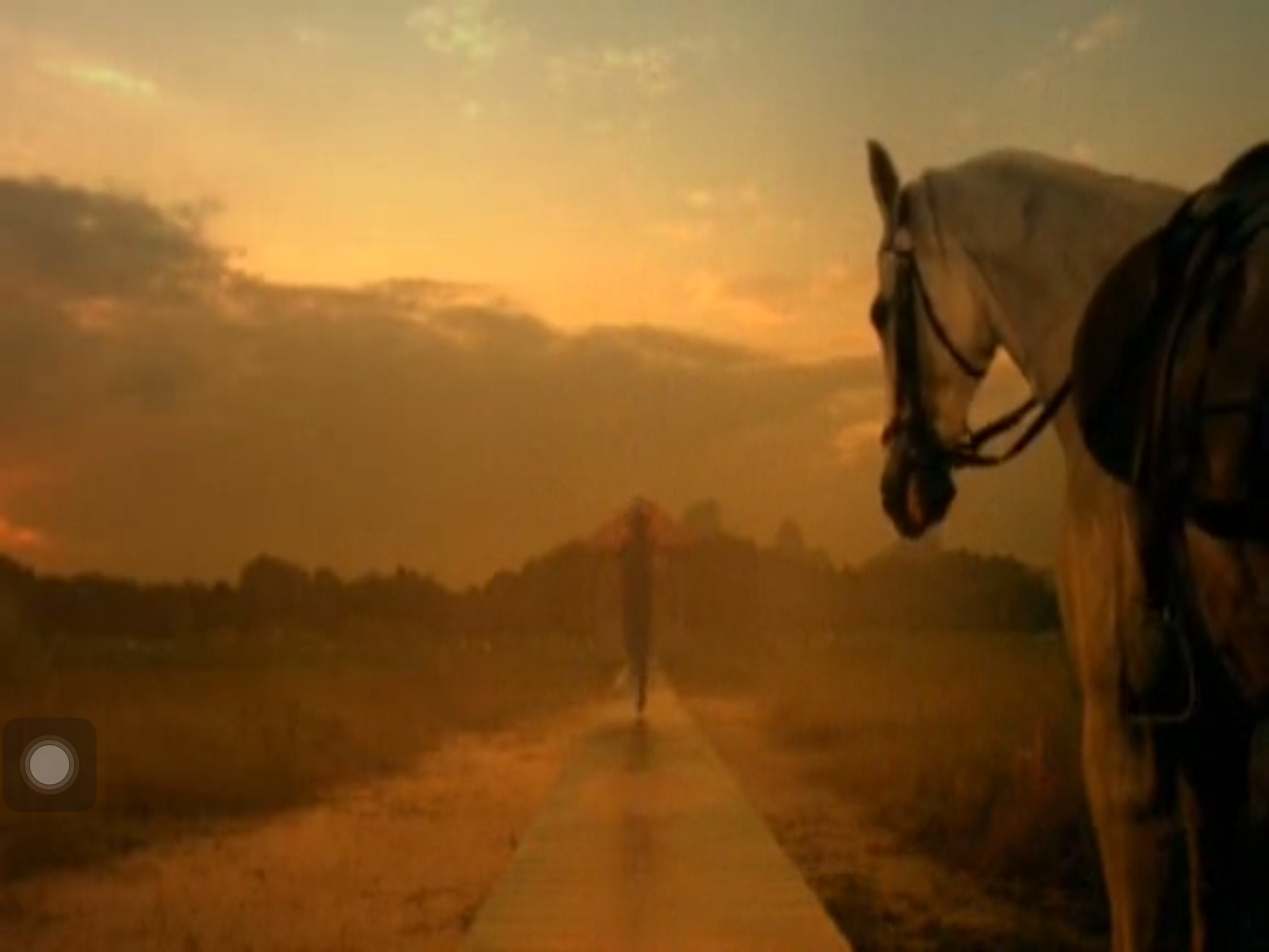 黑虎的眼泪剧照的剧照