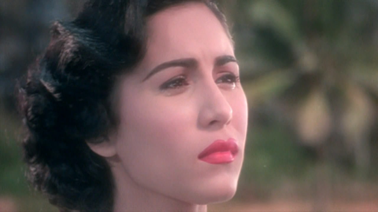 黑虎的眼泪剧照的剧照