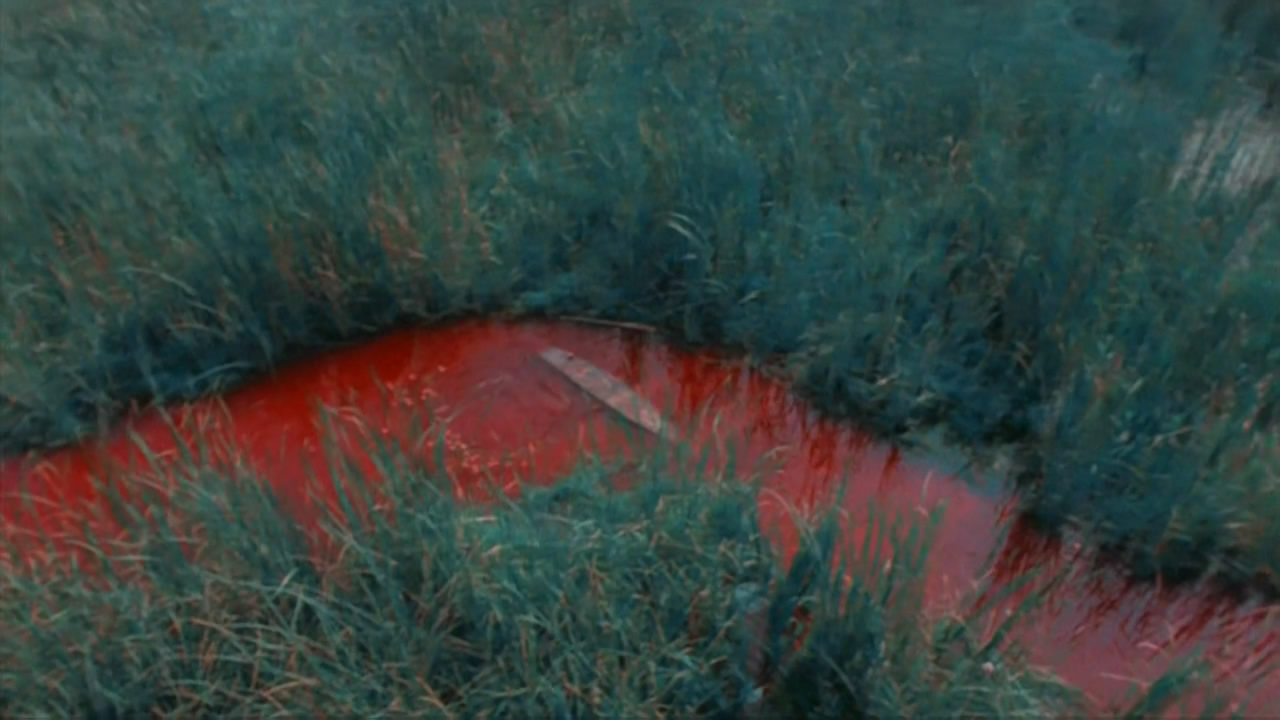 黑虎的眼泪剧照的剧照