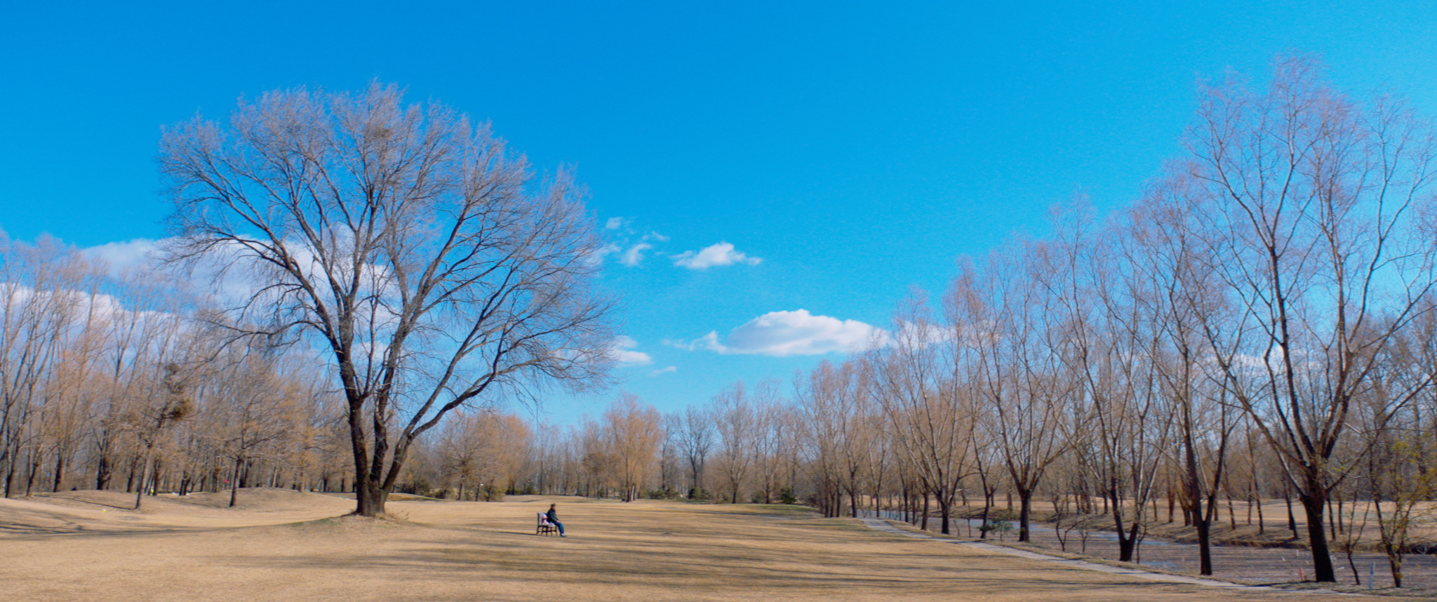 布娃娃剧照的剧照