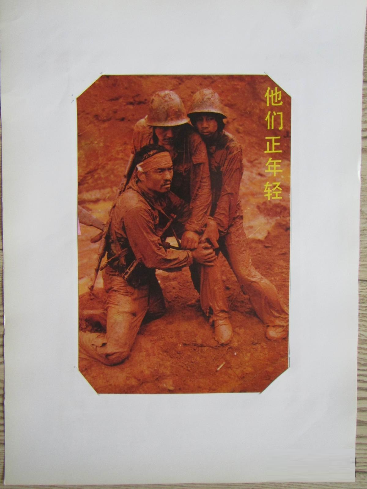 他们正年轻剧照的剧照