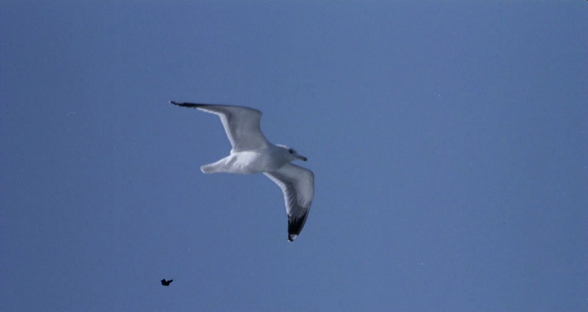 海之魂剧照的剧照