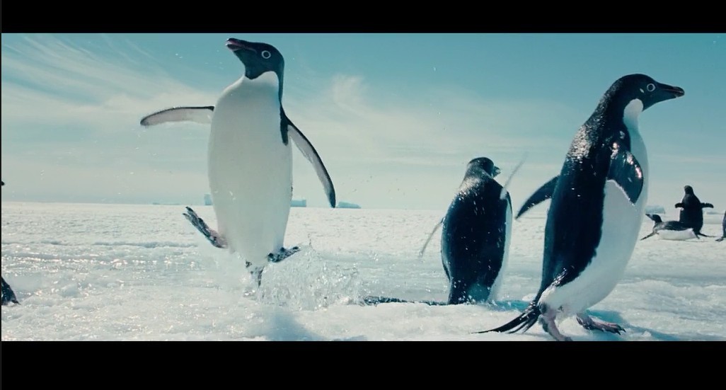 海洋剧照的剧照