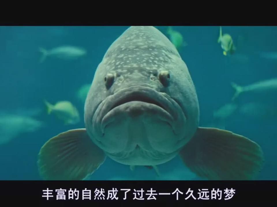 海洋剧照的剧照