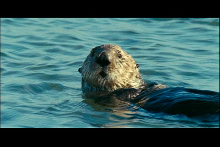 海洋剧照的剧照