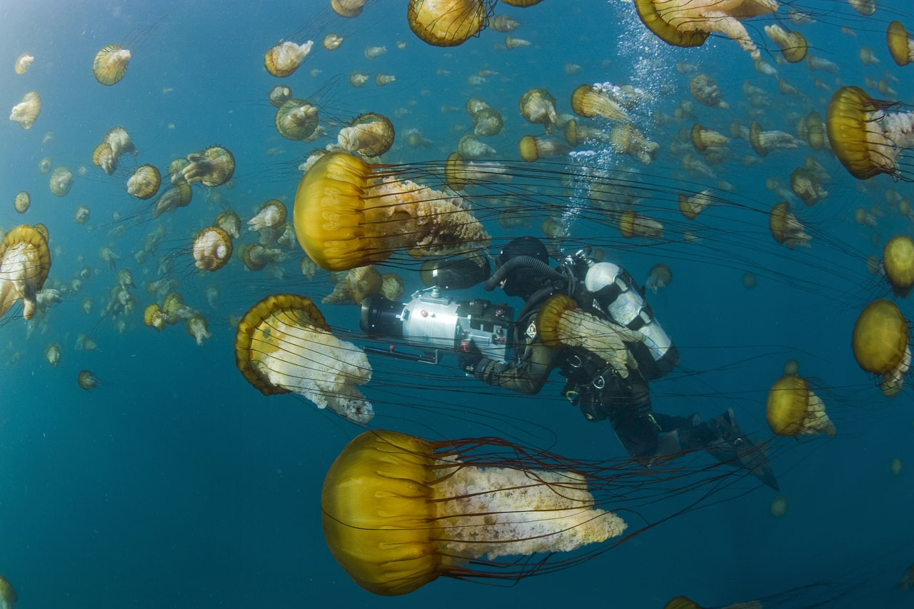 海洋剧照的剧照