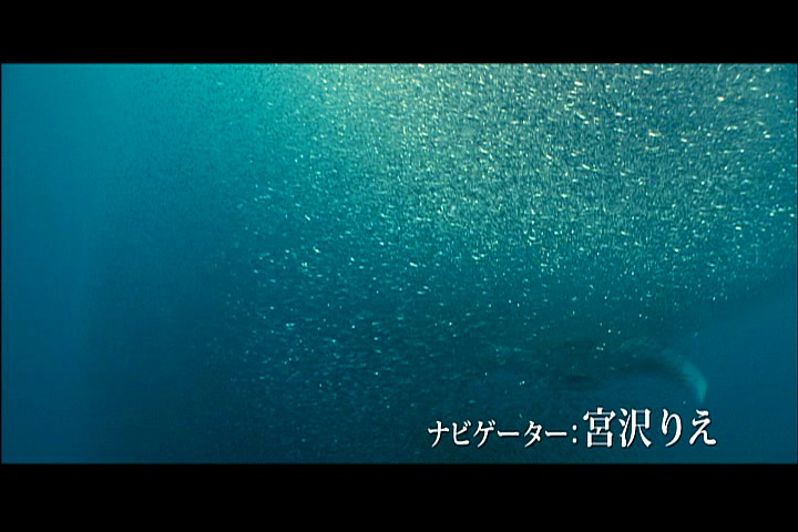 海洋剧照的剧照