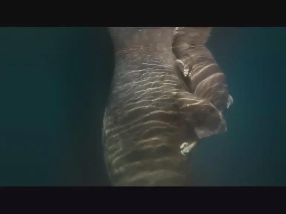 海洋剧照的剧照