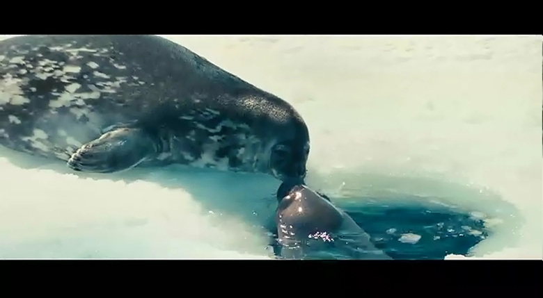 海洋剧照的剧照