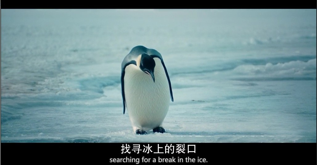 海洋剧照的剧照