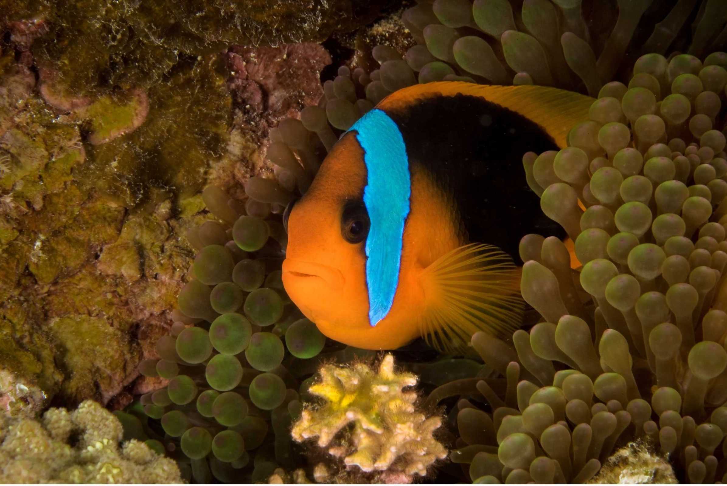 海洋剧照的剧照