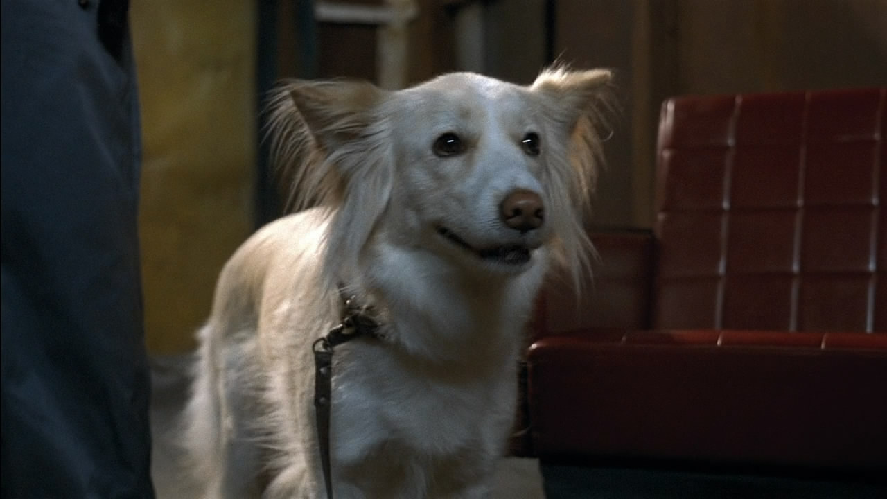 没有过去的男人剧照的剧照