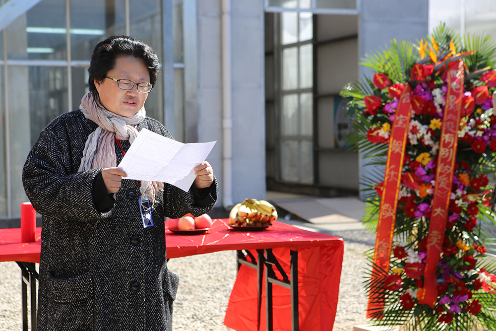 没有别的爱剧照的剧照