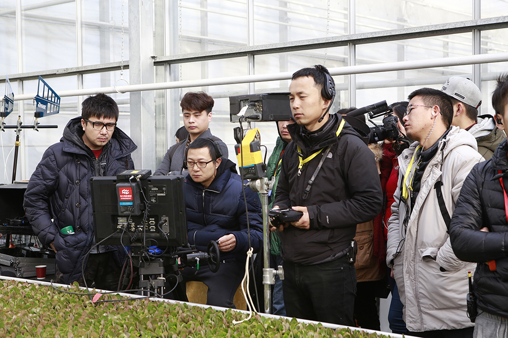 没有别的爱剧照的剧照