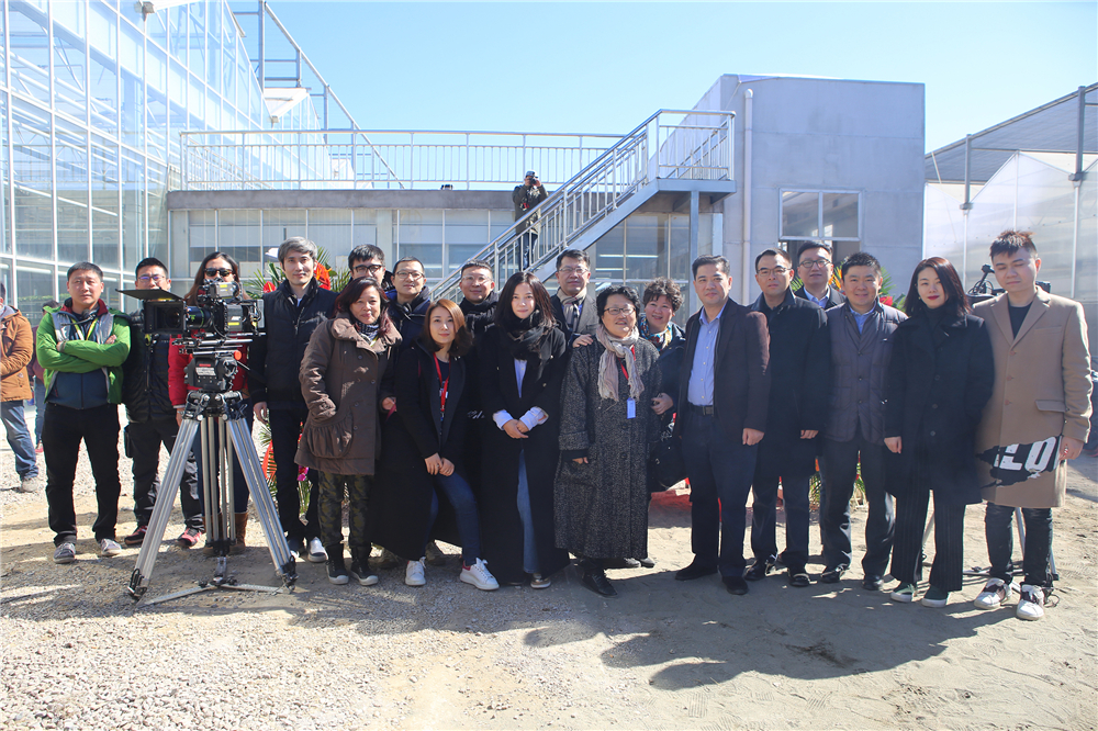 没有别的爱剧照的剧照