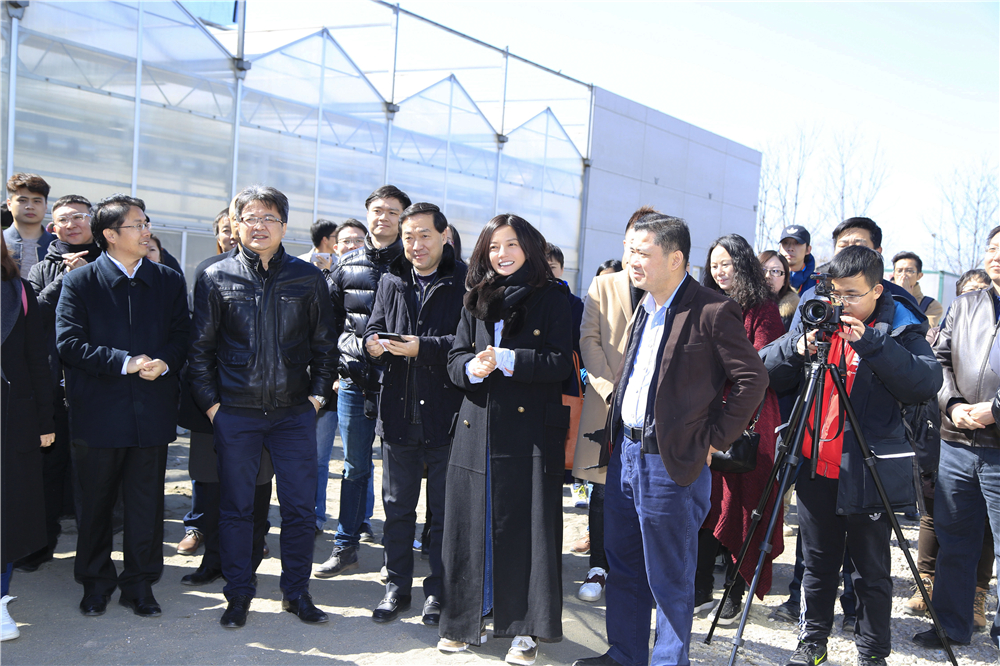 没有别的爱剧照的剧照