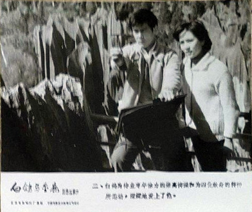 白鸽剧照的剧照