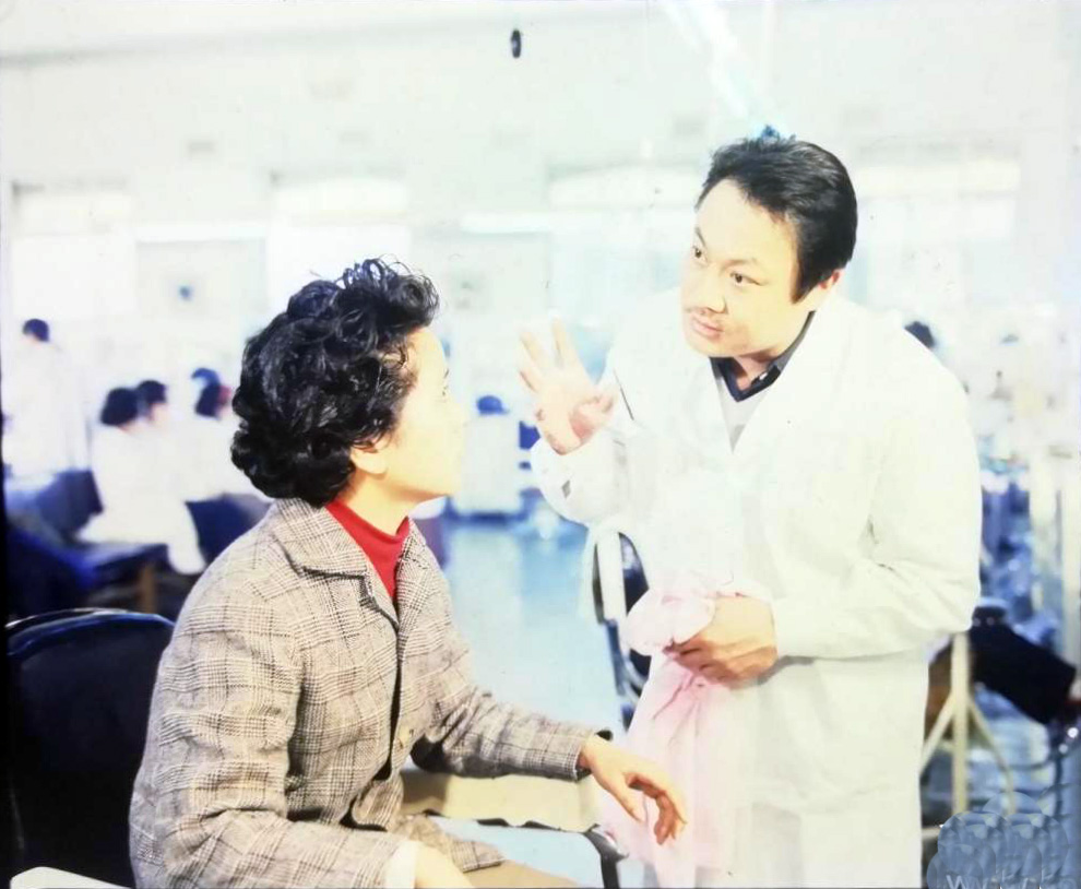 白鸽剧照的剧照