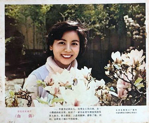 白鸽剧照的剧照